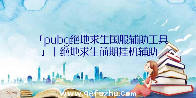 「pubg绝地求生国服辅助工具」|绝地求生前期挂机辅助